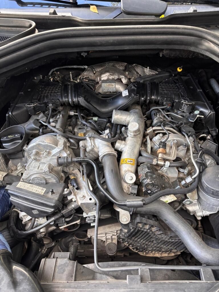 Apie mus whatsapp image 2026 03 17 at 13.11.23