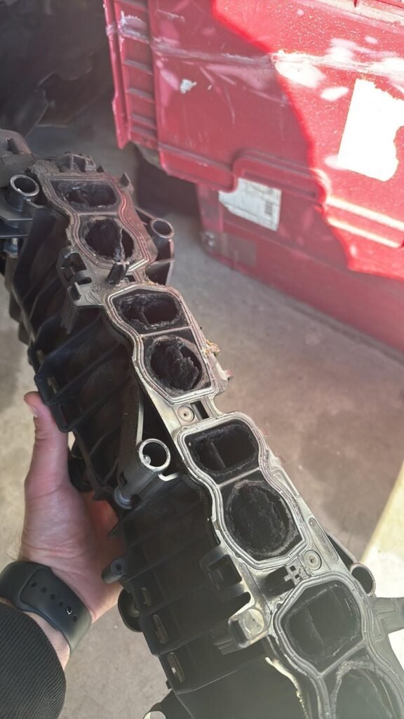 Apie mus whatsapp image 2026 03 17 at 13.12.30