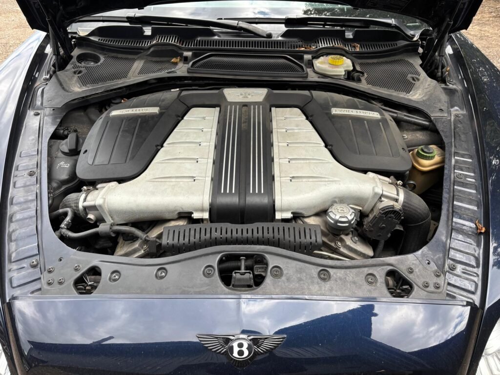 Apie mus whatsapp image 2026 03 17 at 13.17.51